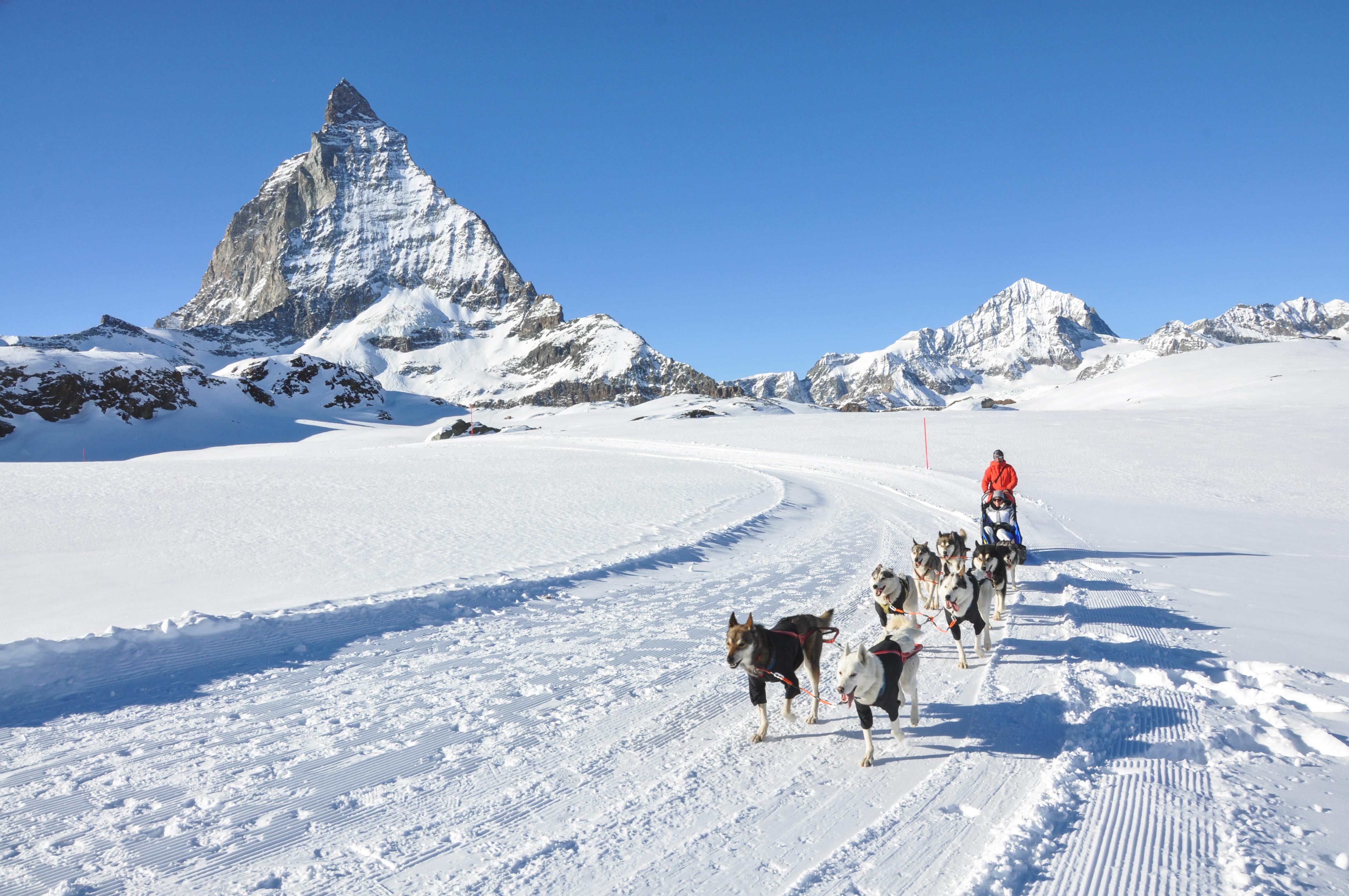 migrolino Awarding Reise - Schlittenhundefahrt